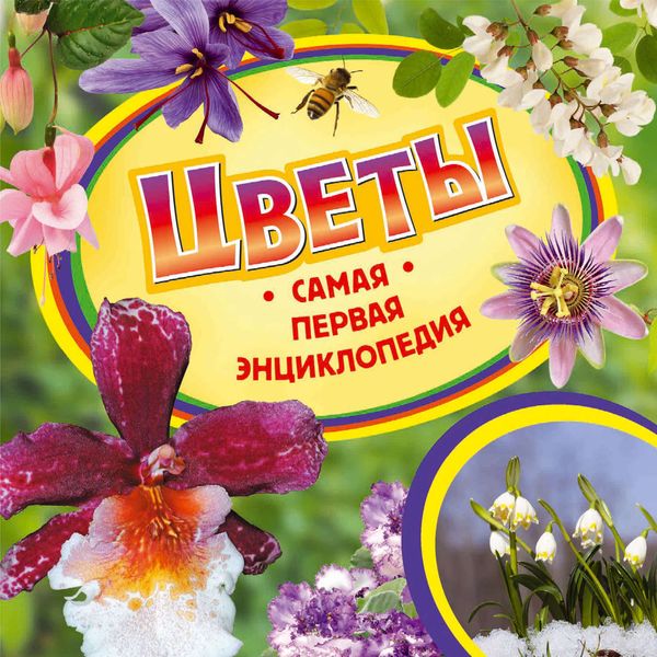 Обложка книги  «Цветы»