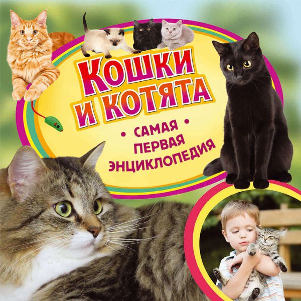 Обложка книги «Кошки и котята»