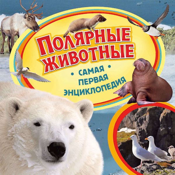 Обложка книги  «Полярные животные»