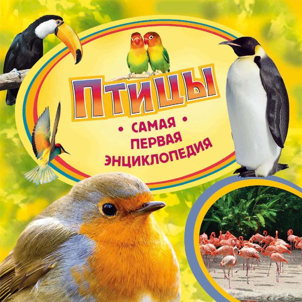 Обложка книги  «Птицы»