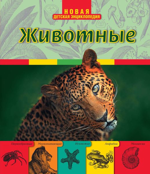 Обложка книги «Животные»