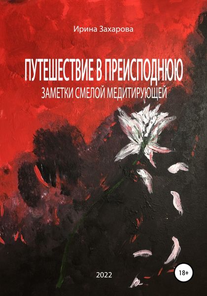 Обложка книги  «Путешествие в Преисподнюю. Заметки смелой медитирующей»