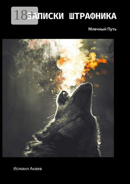 Обложка книги «Записки штрафника. Млечный Путь»