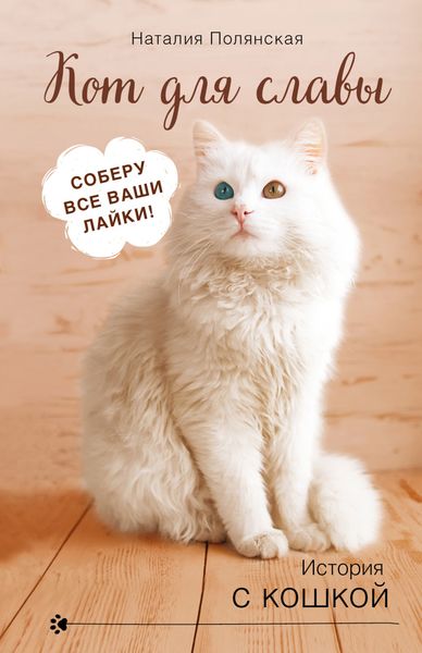 Обложка книги  «Кот для славы»