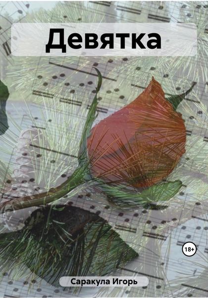 Обложка книги  «Девятка»