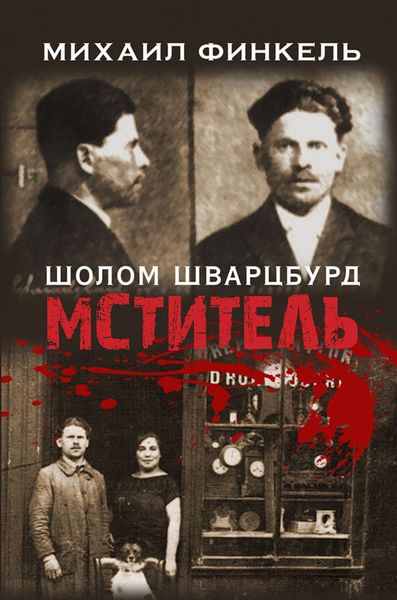 Обложка книги  «Мститель»