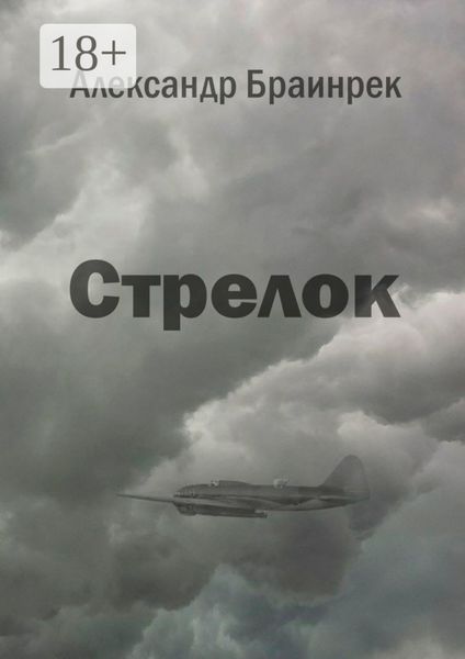 Обложка книги  «Стрелок»