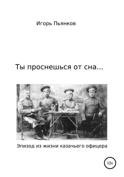 Обложка книги «Ты проснешься от сна…»
