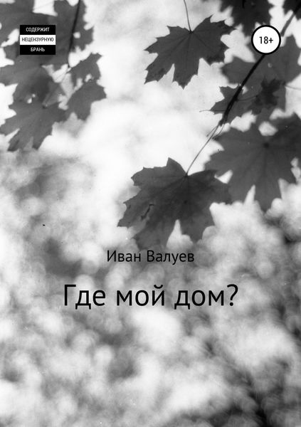 Обложка книги  «Где мой дом?»