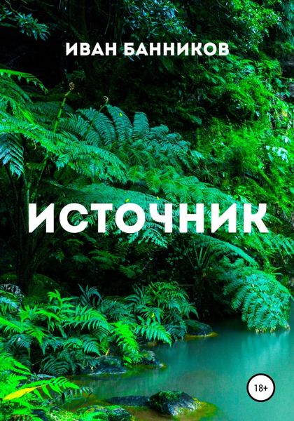 Обложка книги  «Источник»