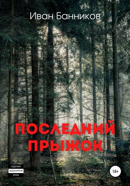 Обложка книги  «Последний прыжок»
