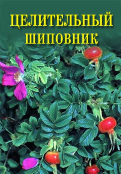 Обложка книги  «Целительный шиповник»