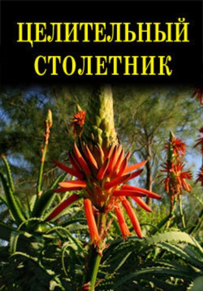 Обложка книги  «Целительный столетник»