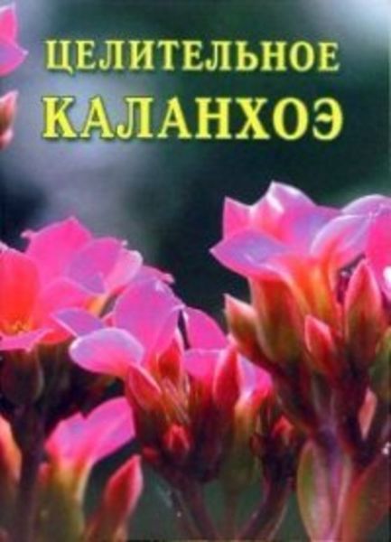 Обложка книги  «Целительное каланхоэ»