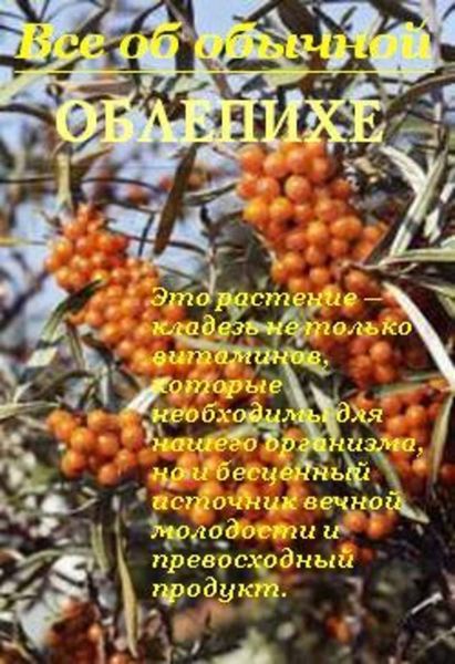 Обложка книги  «Все об обычной облепихе»