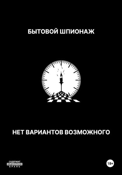 Обложка книги  «Бытовой шпионаж. Нет вариантов возможного»