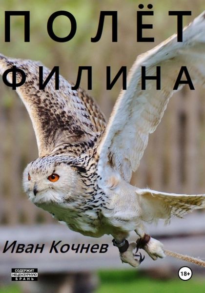Обложка книги  «Полёт Филина»