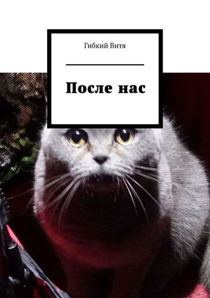 Обложка книги «После нас»