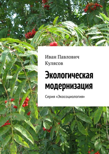 Обложка книги  «Экологическая модернизация. Серия «Экосоциология»»