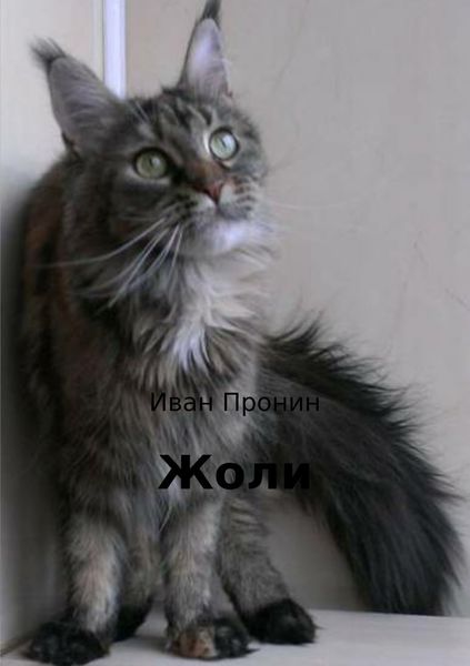 Обложка книги «Жоли»