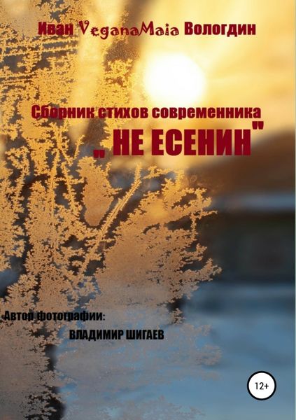 Обложка книги  «Не Есенин»