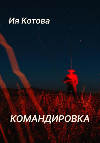 Обложка книги  «Командировка»