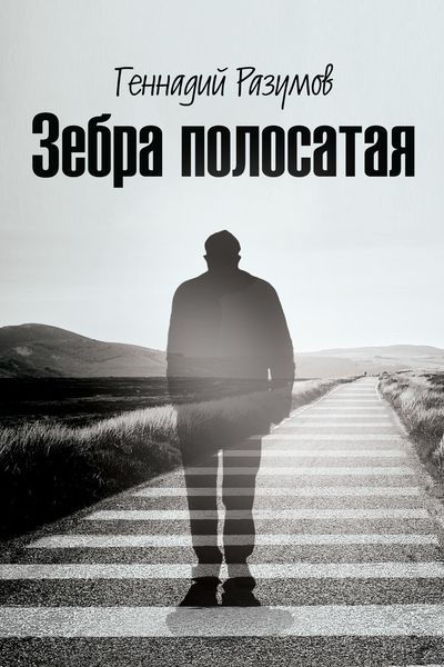 Обложка книги  «Зебра полосатая. На переломах судьбы»