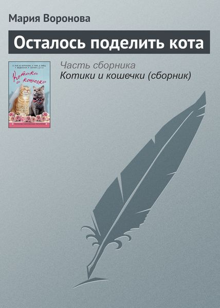 Обложка книги  «Осталось поделить кота»