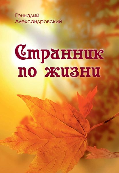Обложка книги  «Странник по жизни»