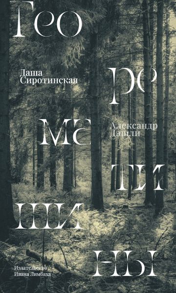 Обложка книги  «Теорема тишины»