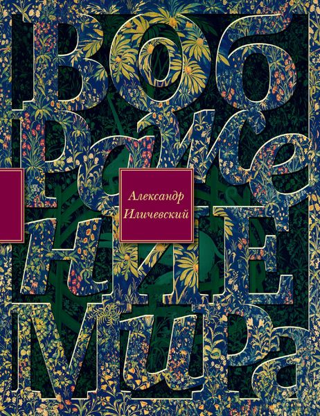 Обложка книги  «Воображение мира»