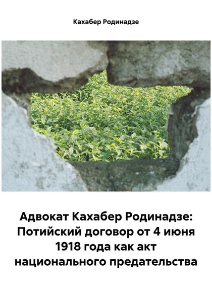 Обложка книги  «Адвокат Кахабер Родинадзе: Потийский договор от 4 июня 1918 года как акт национального предательства»