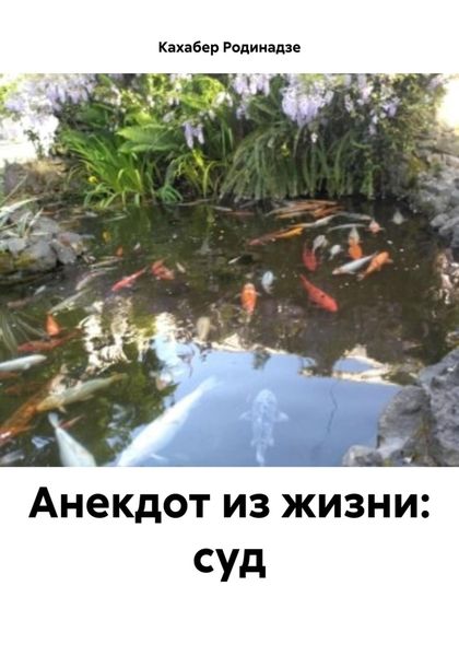 Обложка книги  «Анекдот из жизни: суд»