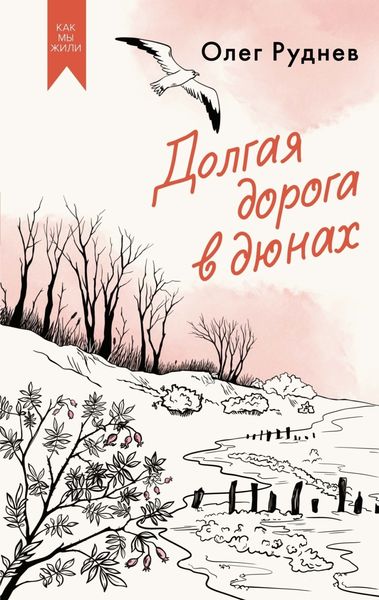 Обложка книги  «Долгая дорога в дюнах»