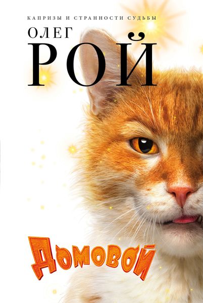 Обложка книги  «Домовой»