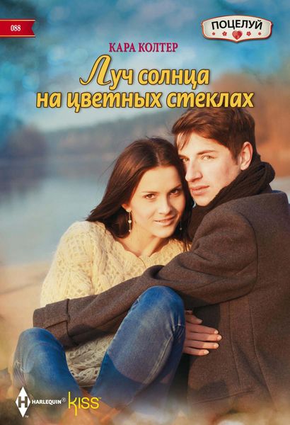 Обложка книги  «Луч солнца на цветных стеклах»