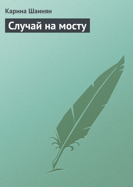 Обложка книги  «Случай на мосту»