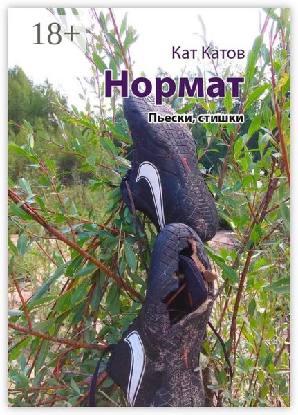 Обложка книги  «Нормат. Пьески, стишки»