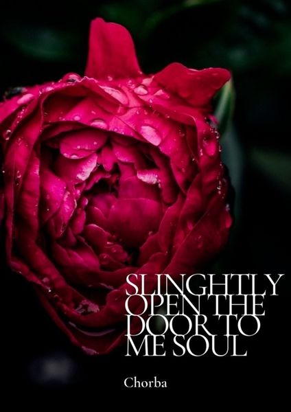 Обложка книги  «Slinghtly open the door to me soul»