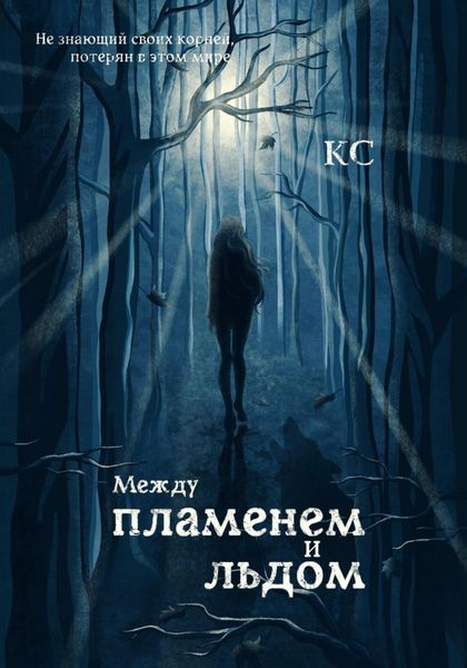 Обложка книги  «Между пламенем и льдом»