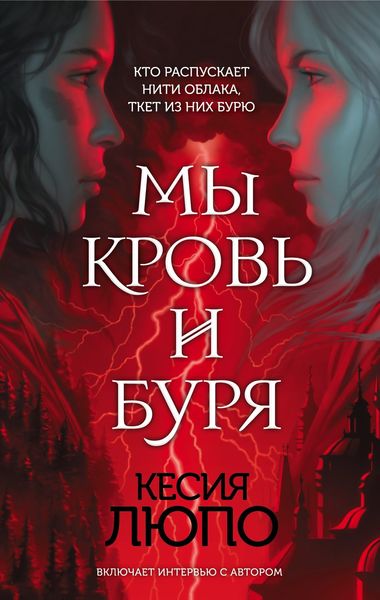 Обложка книги «Мы – кровь и буря»