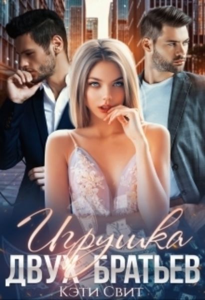 Обложка книги «Игрушка двух братьев»