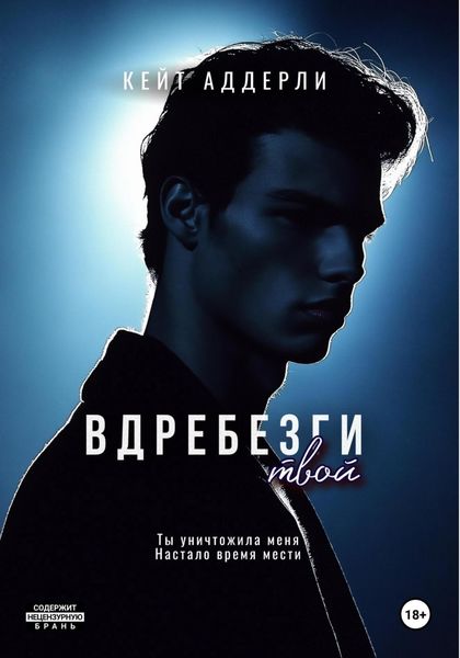 Обложка книги  «Вдребезги твой»