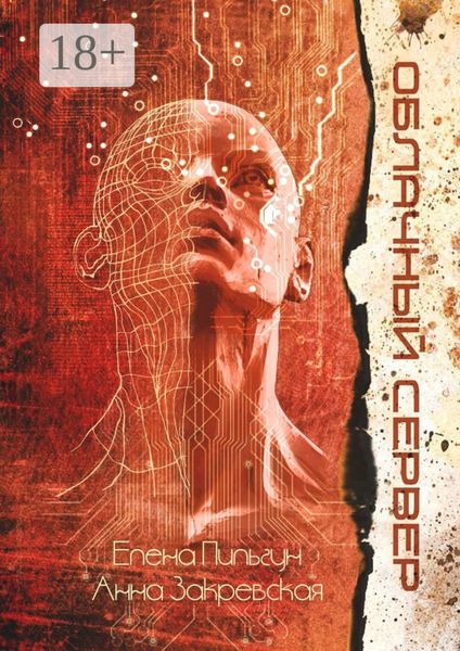 Обложка книги  «Облачный сервер»
