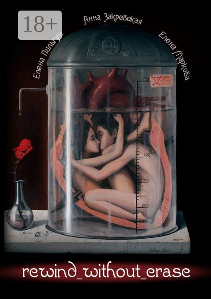 Обложка книги  «Rewind without erase»
