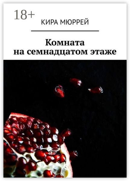 Обложка книги  «Комната на семнадцатом этаже»