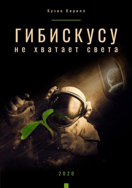 Обложка книги  «Гибискусу не хватает света»