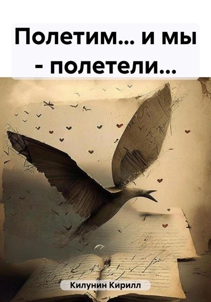 Обложка книги  «Полетим… и мы – полетели…»