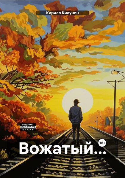 Обложка книги  «Вожатый…»