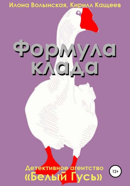 Обложка книги  «Формула клада»